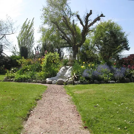 Het Uylennest, Uniek En Goedkoop! Chalet *