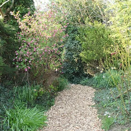 Chalet Het Uylennest, Uniek En Goedkoop! *