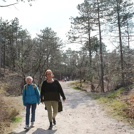 Het Uylennest, Uniek En Goedkoop! Chalet Hem