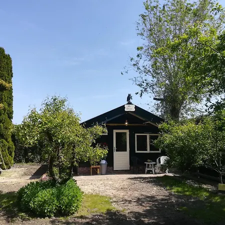 Het Uylennest, Uniek En Goedkoop! * Hem