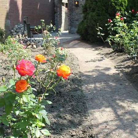 Chalet Het Uylennest, Uniek En Goedkoop! *