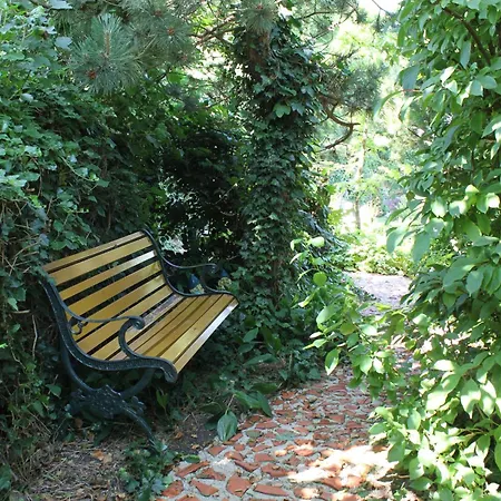 Het Uylennest, Uniek En Goedkoop! *