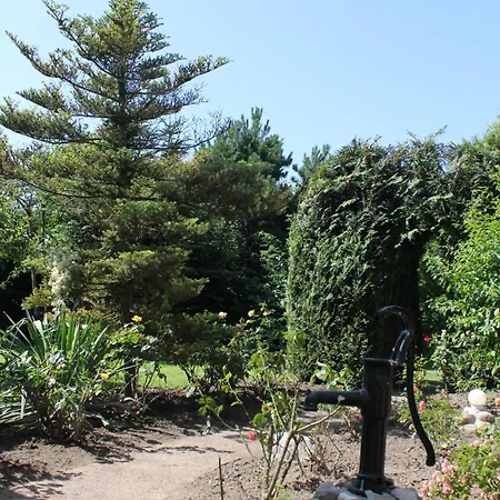 Het Uylennest, Uniek En Goedkoop! Hem