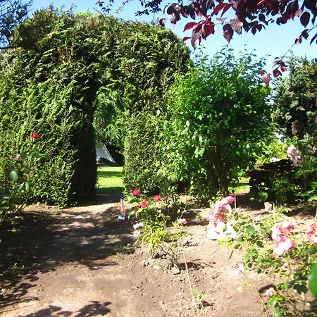 Het Uylennest, Uniek En Goedkoop! Chalet